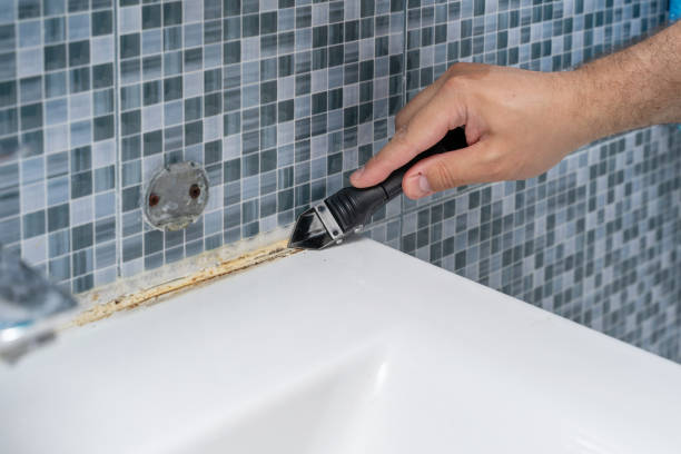 Best Post-Flood Mold Remediation in Shanor Northvue, PA