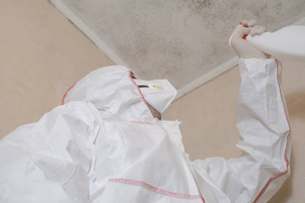 Best White Mold Remediation in Shanor Northvue, PA