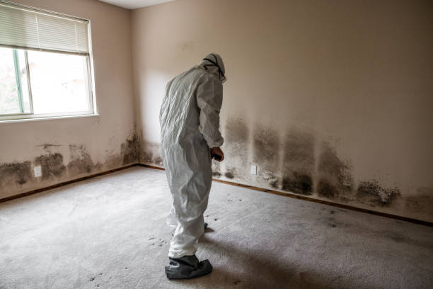 Best Mold Remediation for Specific Building Types in Shanor Northvue, PA